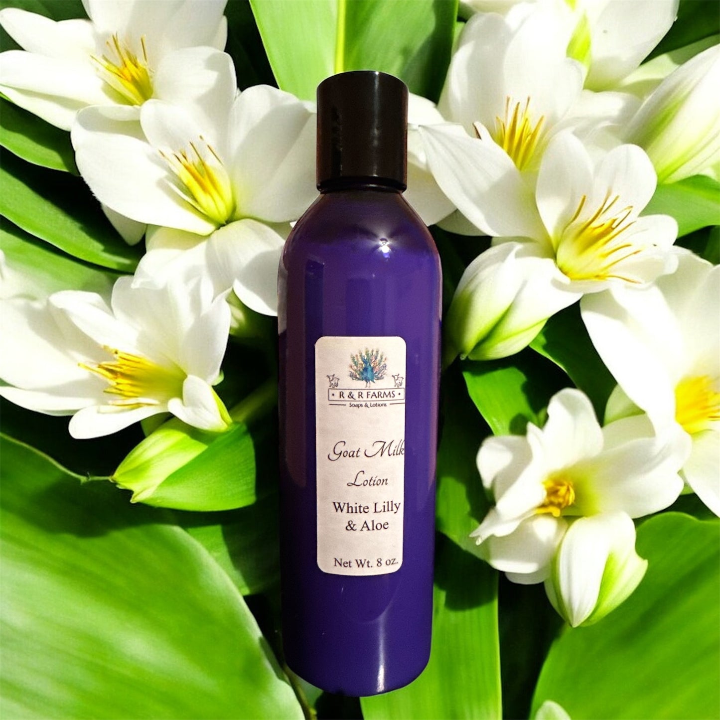 White Lily & Aloe Lotion