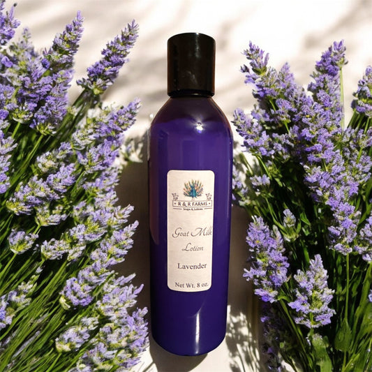 Lavender Lotion